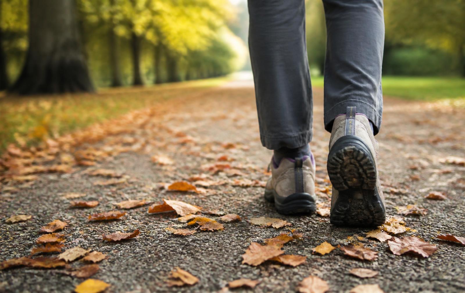 Close-up of walking shoes on a park path covered with autumn leaves